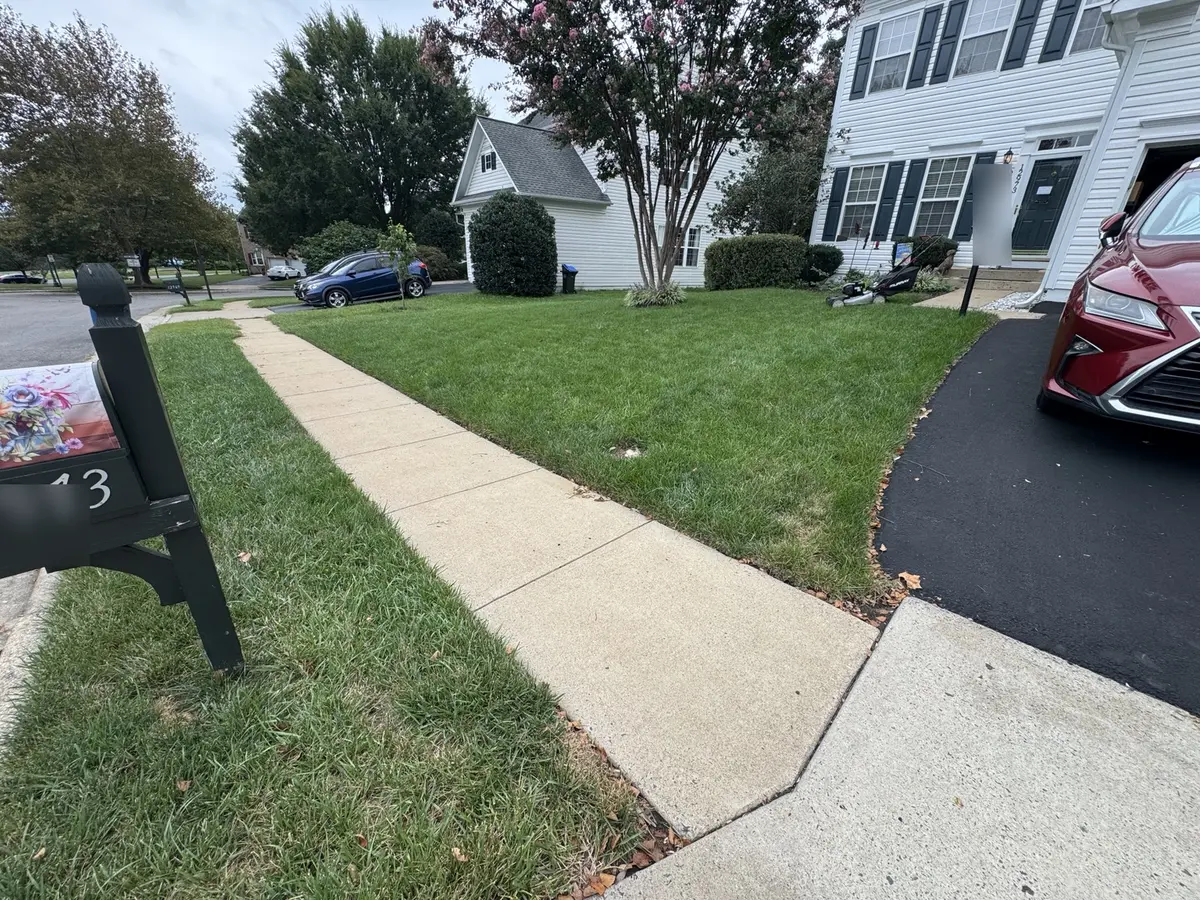 Braemar lawn before the weekly mowing and edging visit in Tartan Hills, Bristow, Virginia